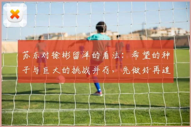 苏东对徐彬留洋的看法:希望的种子与巨大的挑战并存,先做好再追求完美