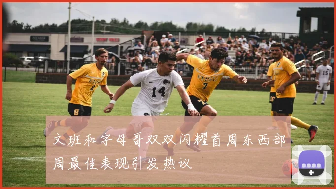 文班和字母哥双双闪耀首周东西部周最佳表现引发热议
